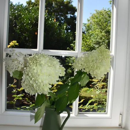 Hof Reinecke * 汉诺威