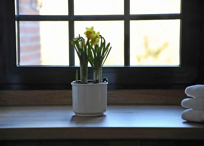 Bed & Breakfast Hof Reinecke *